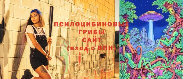 MDMA Premium VHQ Михайловка