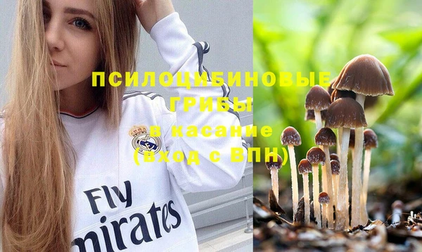 гидропоника Михайлов