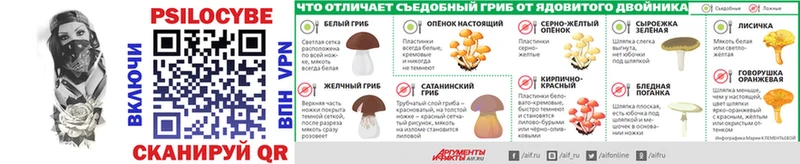 Галлюциногенные грибы Magic Shrooms  Купить где  Благовещенск