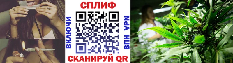 Каннабис план  Купить  Благовещенск 